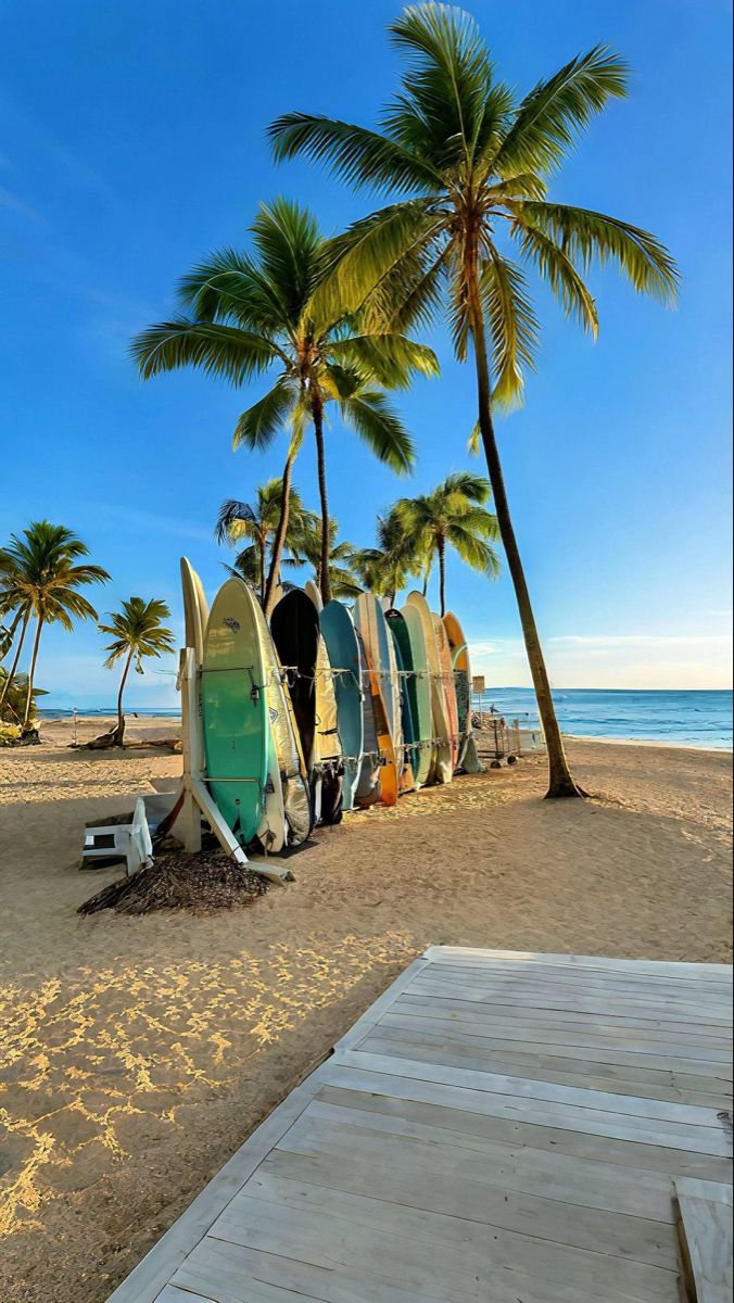 Experiencia de surf con Wave X